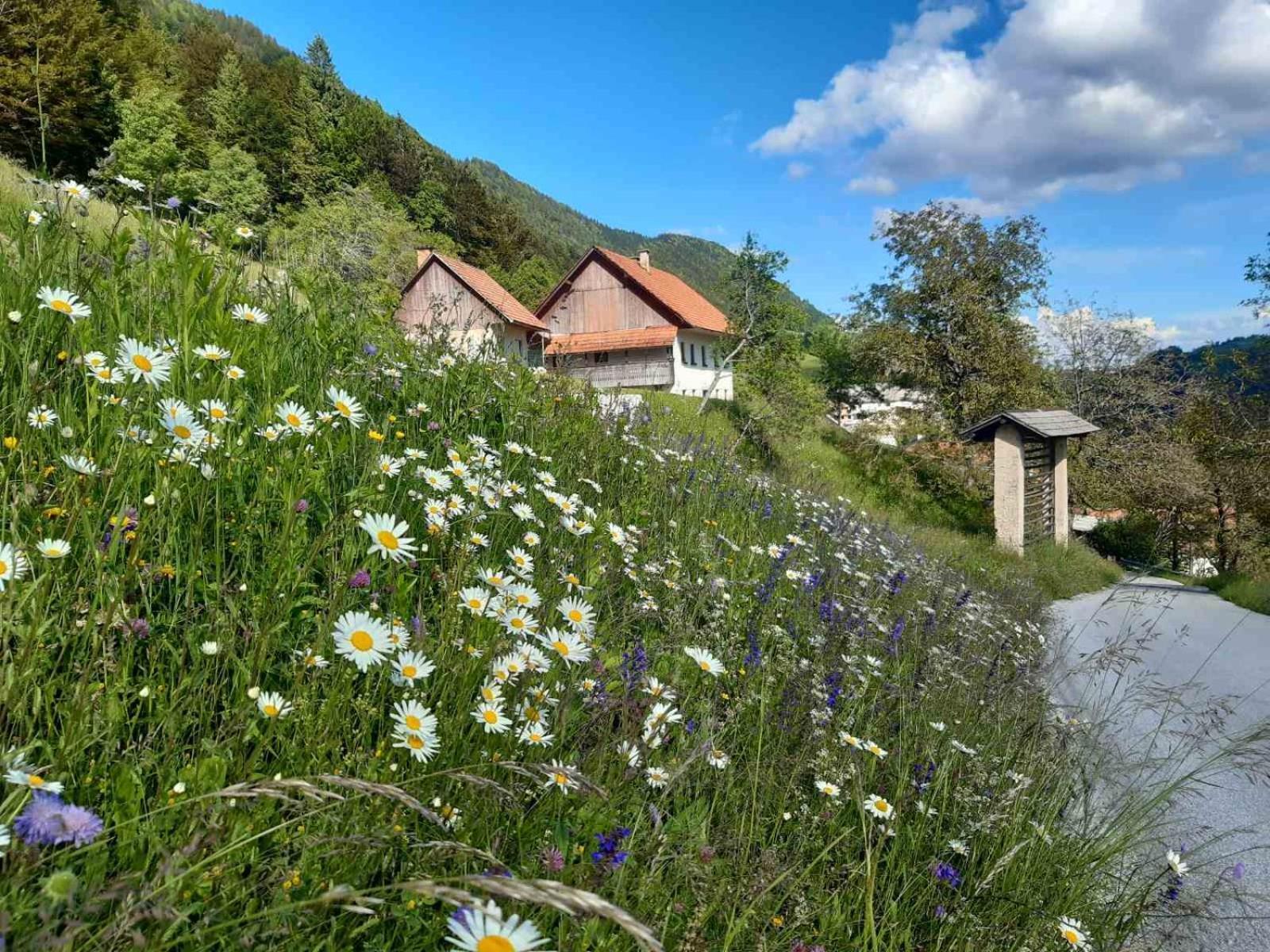 Miklavzeva Hisa With A Bread Oven Villa Zelezniki Exterior photo