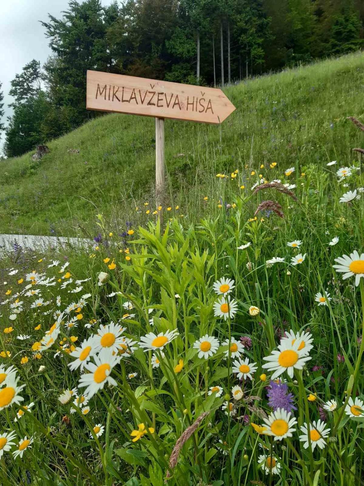 Miklavzeva Hisa With A Bread Oven Villa Zelezniki Exterior photo